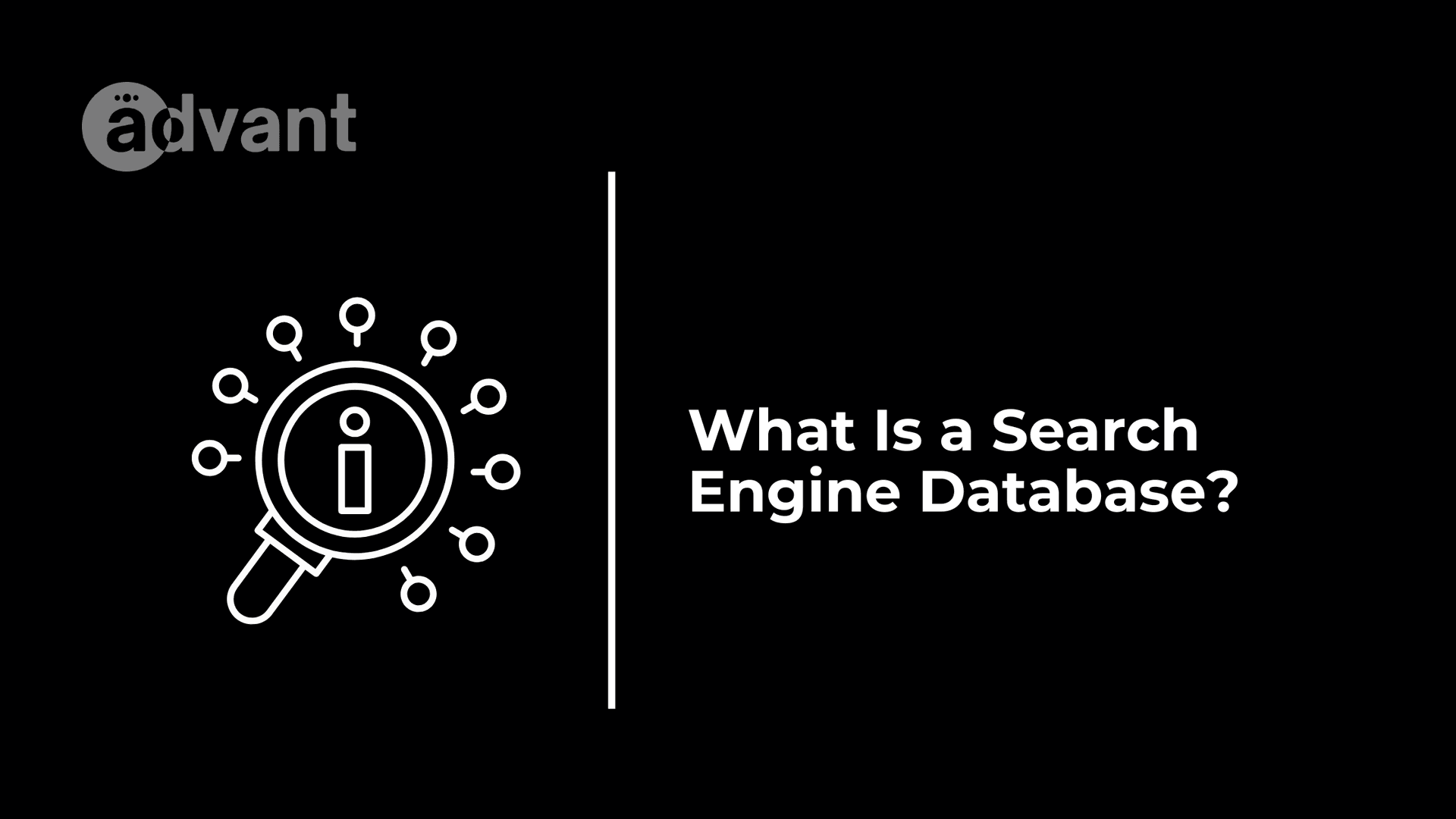 What Is a Search Engine Database?