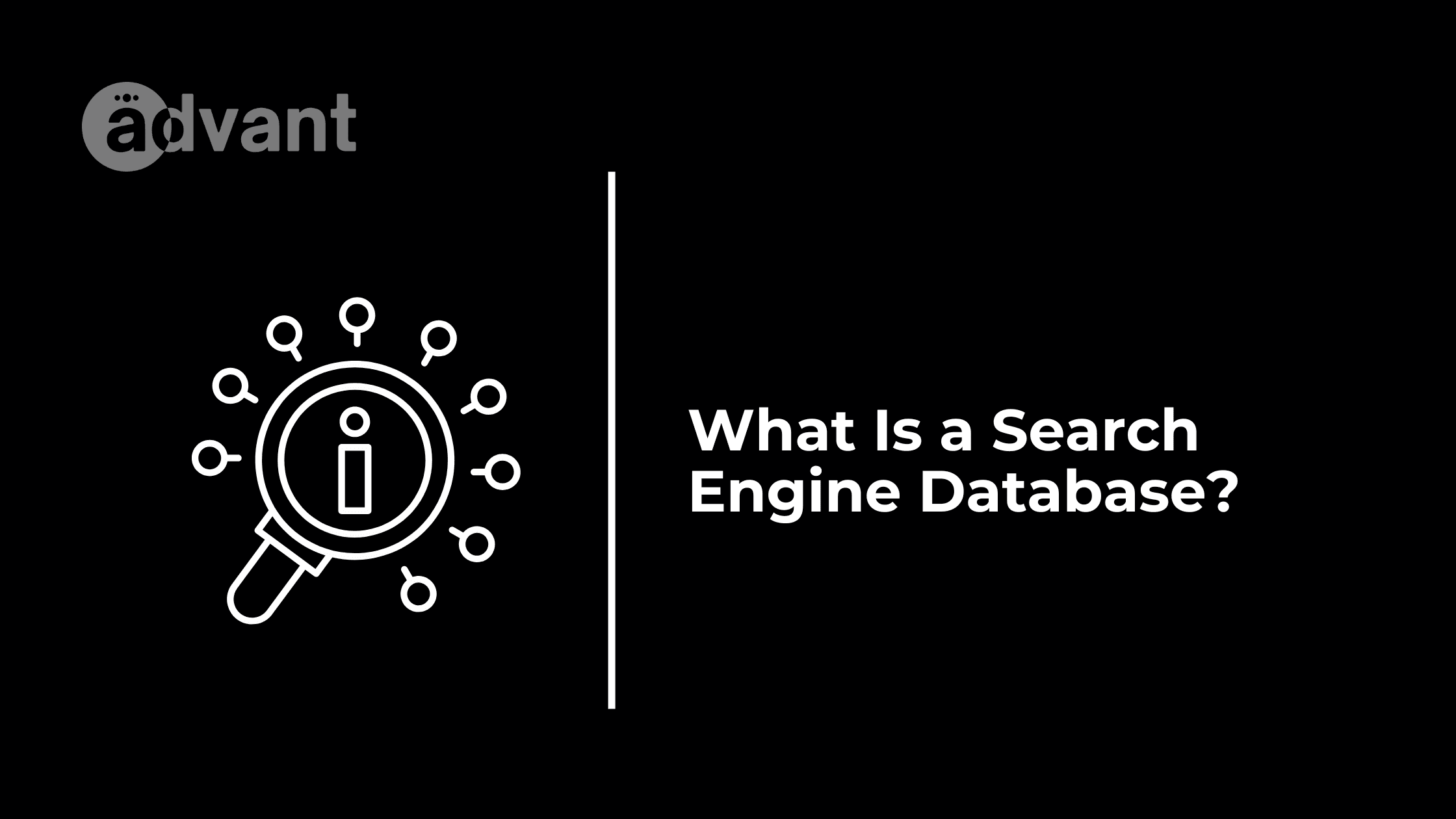 What Is a Search Engine Database?
